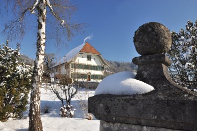 Winter Kino