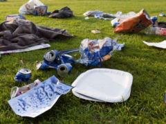 Wald- und Schacheputzete