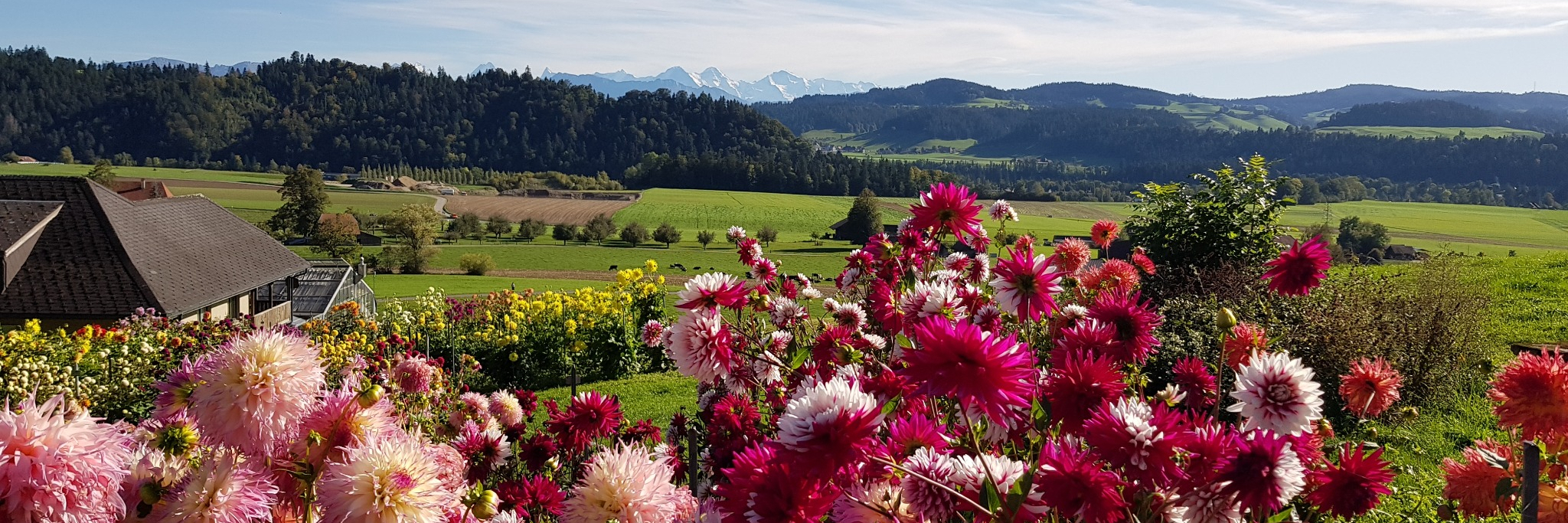 Menschen mit Behinderung