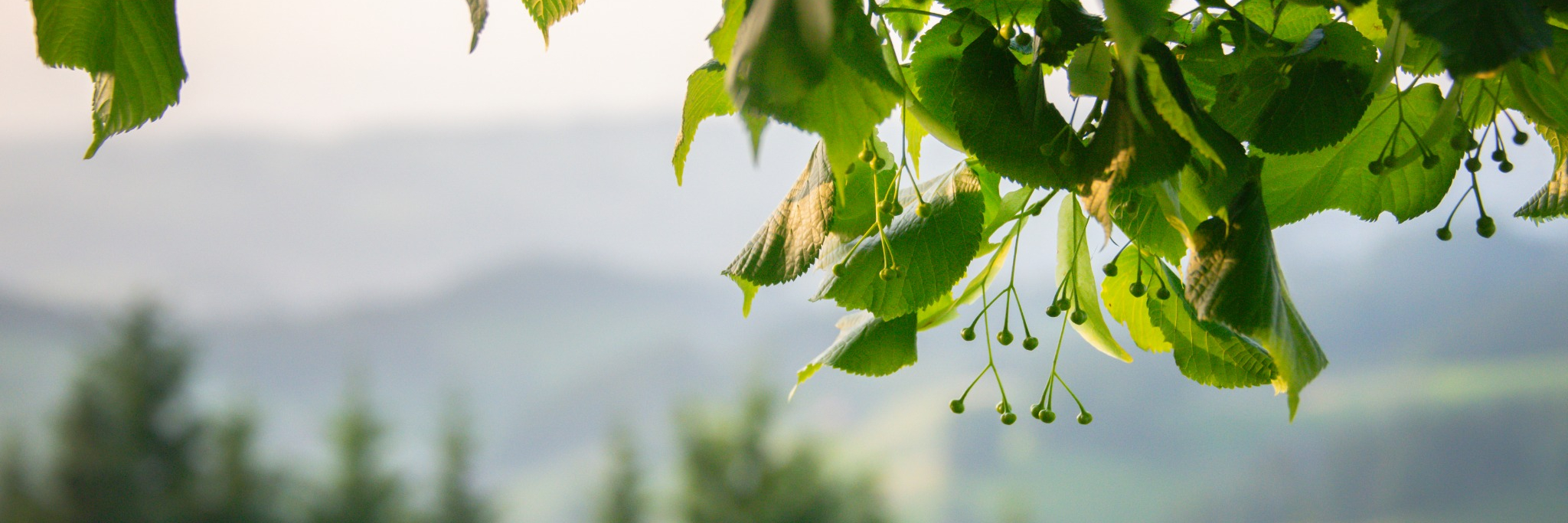 Seniorinnen und Senioren