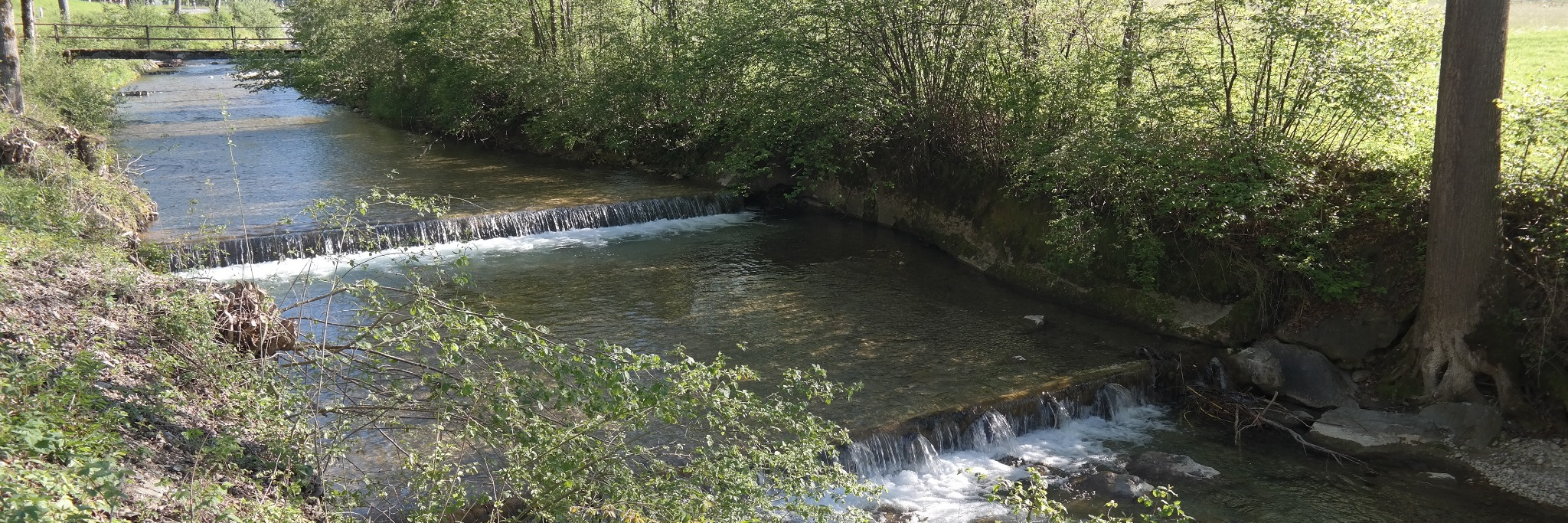 Schwellenkorporation