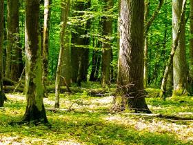 Anpassung Teilrichtplan Landschaft Emmental 2026